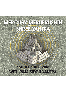 Parad Shree Yantra With Pooja